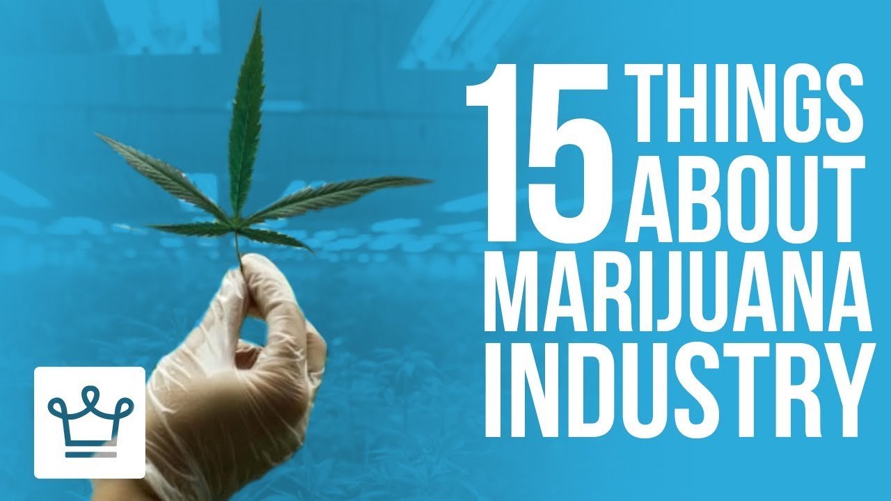 Video: 15 Things You Didn’t Know About the Marijuana Industry